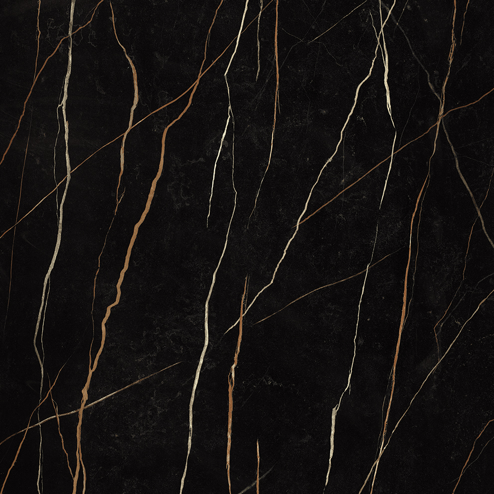 Sahara Noir